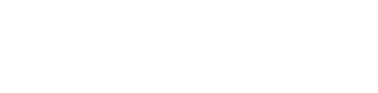 BaggerStauch Logo in Weiß